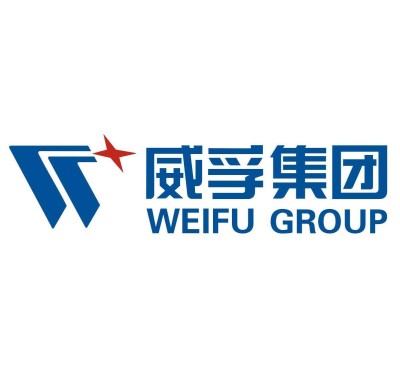Распылитель WFDLLA144P1565/0433171964 Распылитель WFDLLA144P1565/0433171964