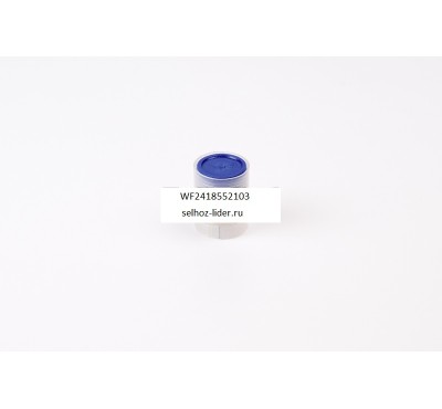 Клапан нагнетательный 2418552103 (WF 2 418 552 103) WEIFU DAF Клапан нагнетательный 2418552103 (WF 2 418 552 103) WEIFU DAF