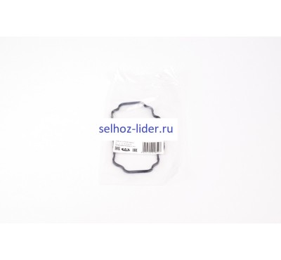 Прокладка 7189-311 DELPHI