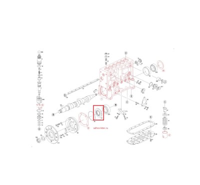 Сальник вала — 2410283021 (2 410 283 021) BOSCH