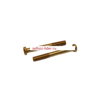 Винт задней крышки 1/03777/11 М6х55 (33-02, 33-10)